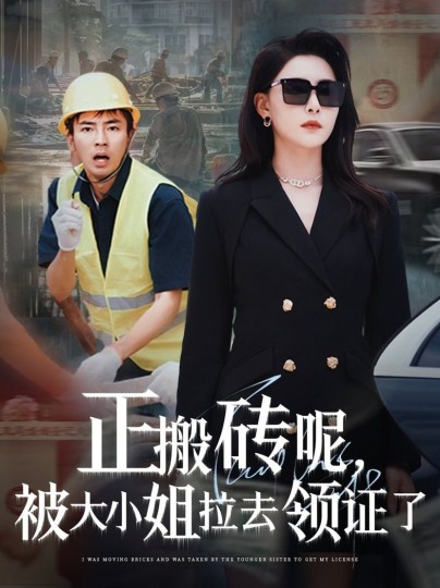 焚情剧情简介封面图